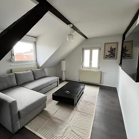 Soh Rent 2 Pieces Duplexe - Tv - Wifi * Schiltigheim