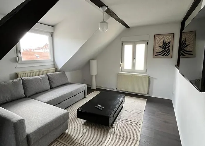 Soh Rent 2 Pieces Duplexe - Tv - Wifi * Schiltigheim